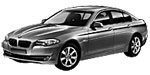 BMW F10 B10A5 Fault Code